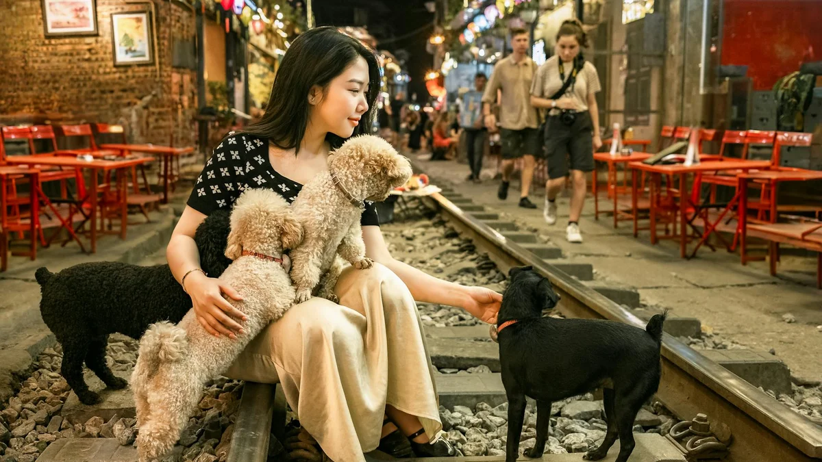 Du Lịch Cùng Thú Cưng Tại Việt Nam — Chuẩn Bị, Phương Tiện và Điểm Đến Thân Thiện Với Chó Mèo — Mật Pet Family