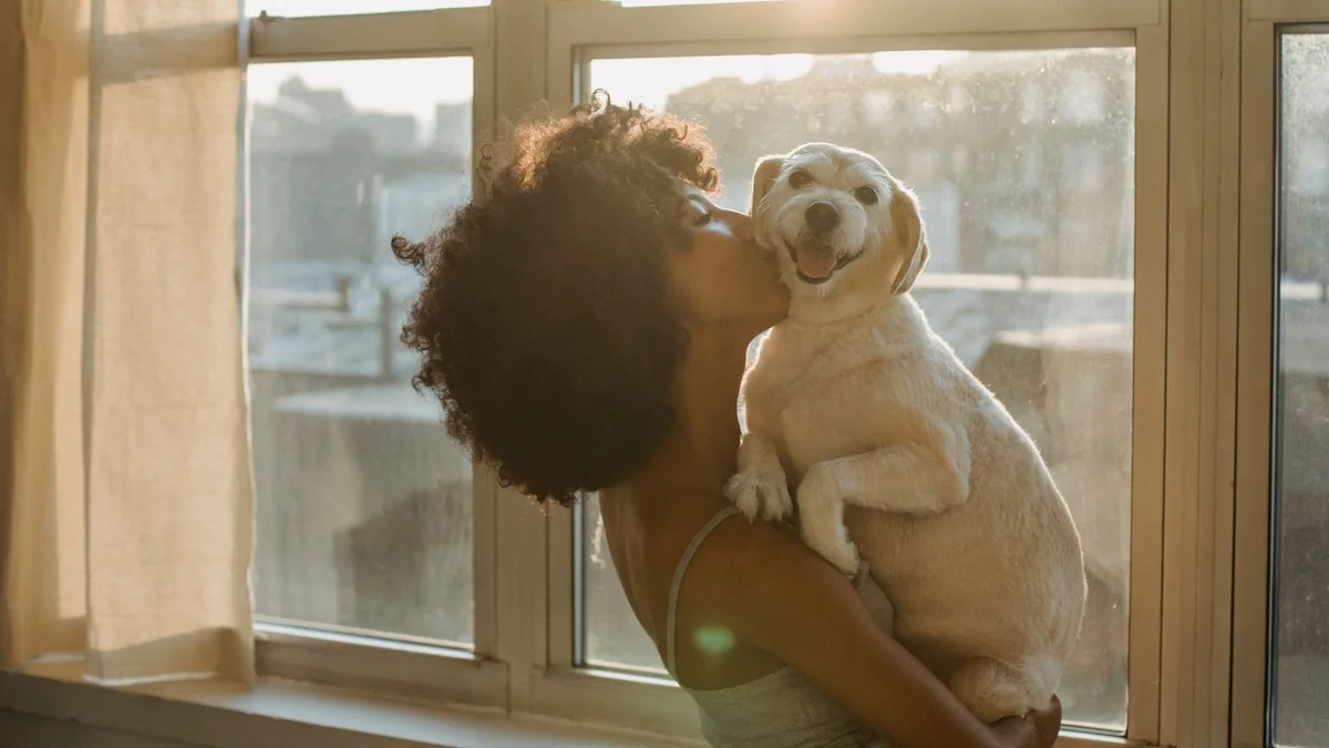Mật Pet Family Nhìn Lại 2024 — Những Cột Mốc, Bài Học và Định Hướng Xây Dựng Chuẩn Mực Pet Shop Premium Tại Việt Nam — Mật Pet Family